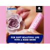 LABELLO SOFT ROSE SHINE MELT-IN MOISTURE CARING LIP BALM 4.8G/ 5.5 ML LABELLO SOFT ROSE SHINE MELT-IN MOISTURE CARING LIP BALM 4.8G/ 5.5 ML